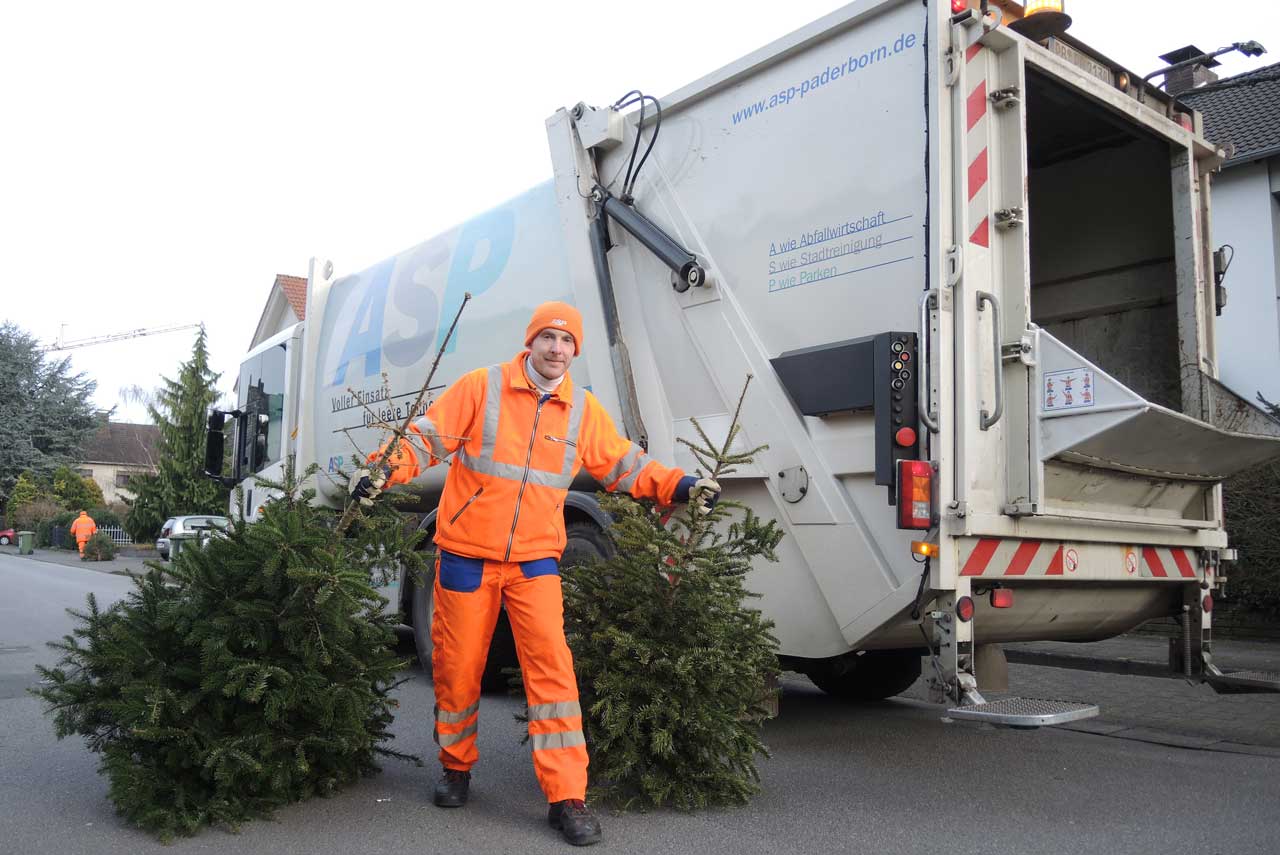 ASP Mitarbeiter sammelt Weihnachtsbäume ein.